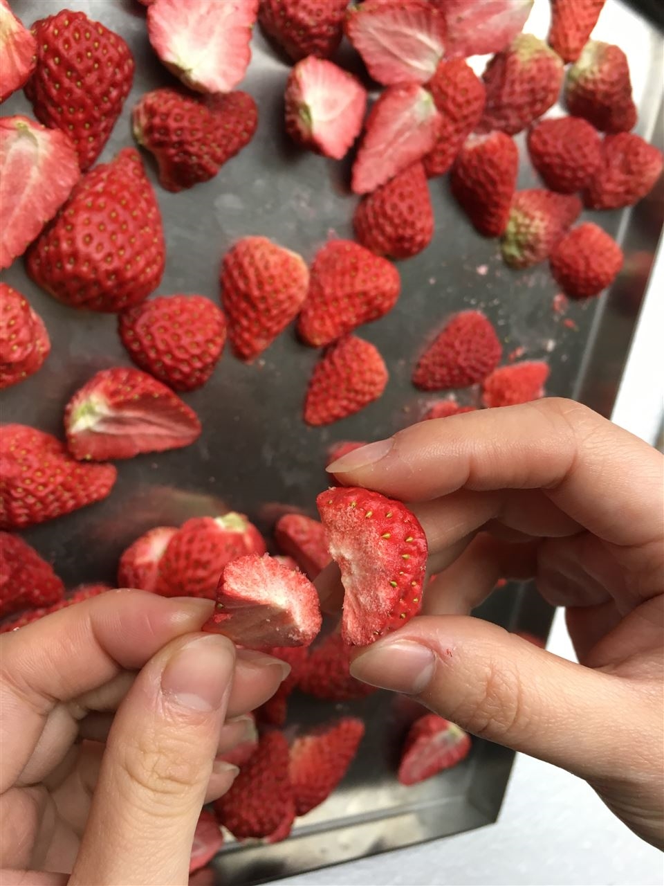 凍幹草莓