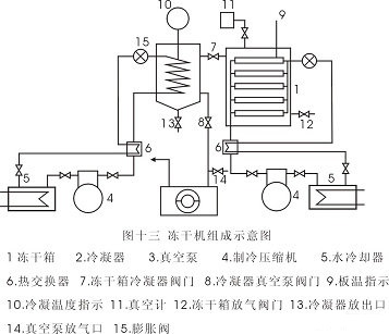 凍幹機組成示意圖