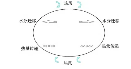 熱風幹燥傳(chuan) 熱傳(chuan) 質示意圖